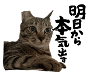 860767183