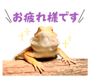 860768699