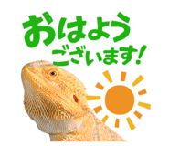 860768701