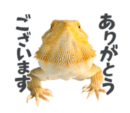 860768703