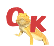 860768704
