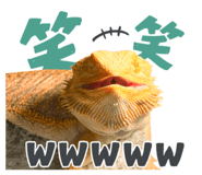 860768705
