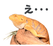 860768706
