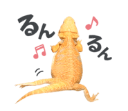 860768707