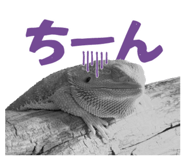 860768709