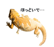 860768710