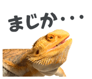 860768712