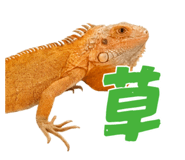 860768713
