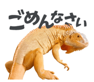 860768714
