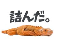 860768717
