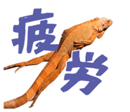 860768718