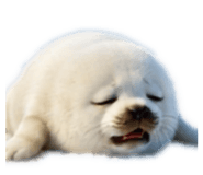 860768875