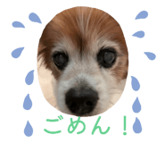 860771232