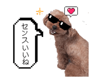 860772468