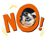860773384