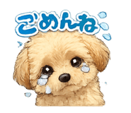 860773597