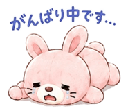 860773816