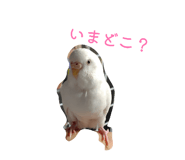 860774528