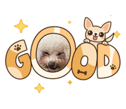 860774710