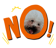860774720