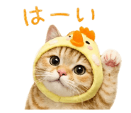 860775086