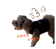 860775208