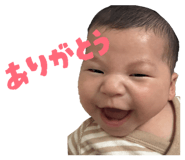 860775502
