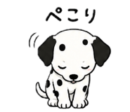 860775746