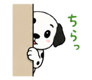 860775753