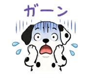 860775755