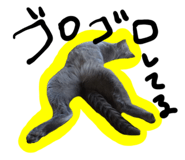 860775851