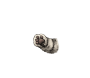 860777742