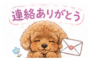 860777807