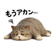 860777967