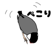 860778514