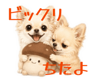 860778958