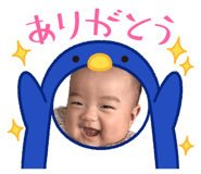 860779243