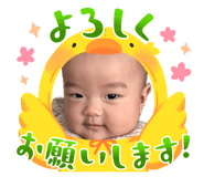 860779246
