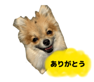 860780660