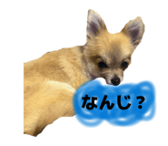 860780665