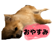 860780666
