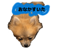 860780670