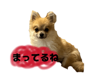 860780676