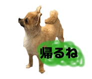 860780679