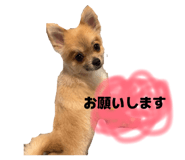 860780680