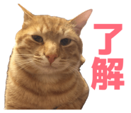 860781310