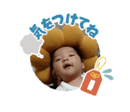 860781351