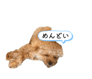 860781403