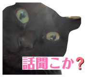 860782255