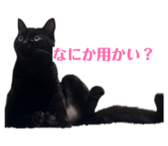860782279